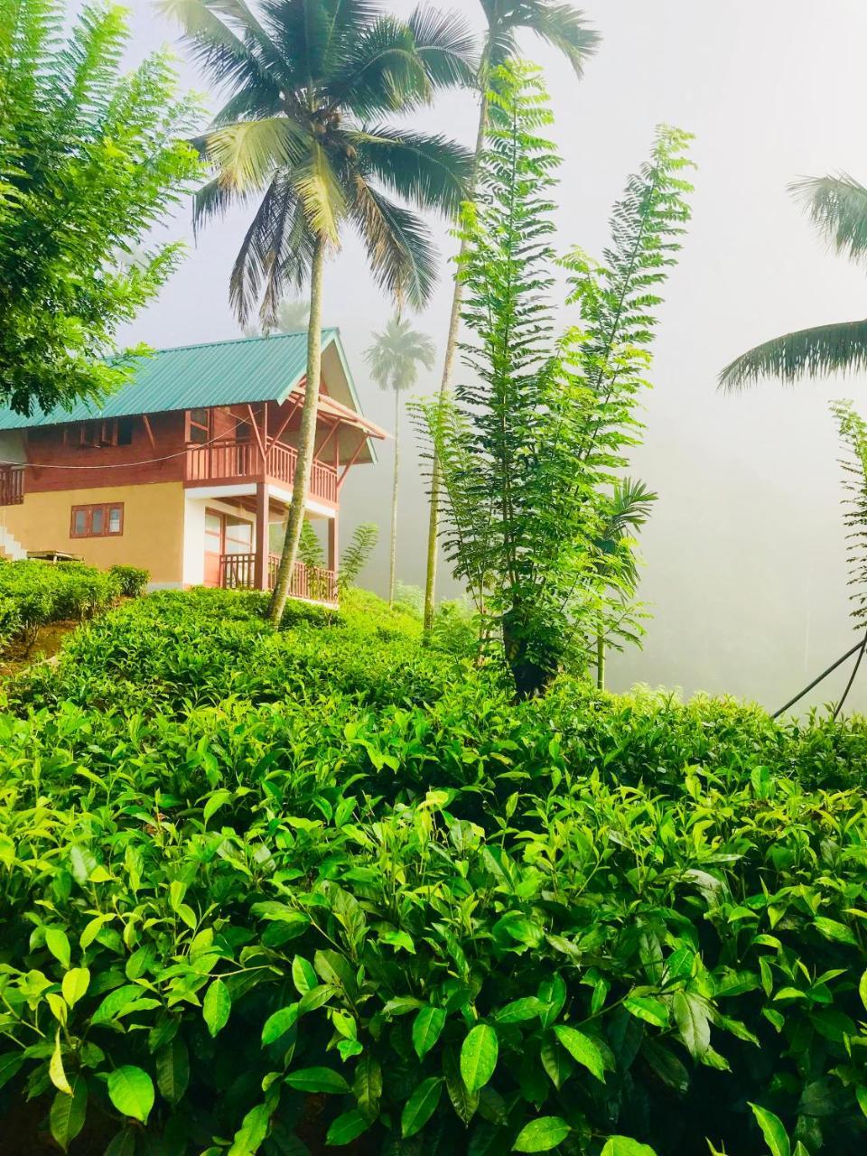 Rainforest Mount Lodge Deniyaya Exterior photo